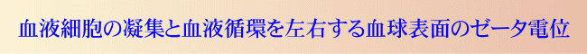 血液循環を改善する